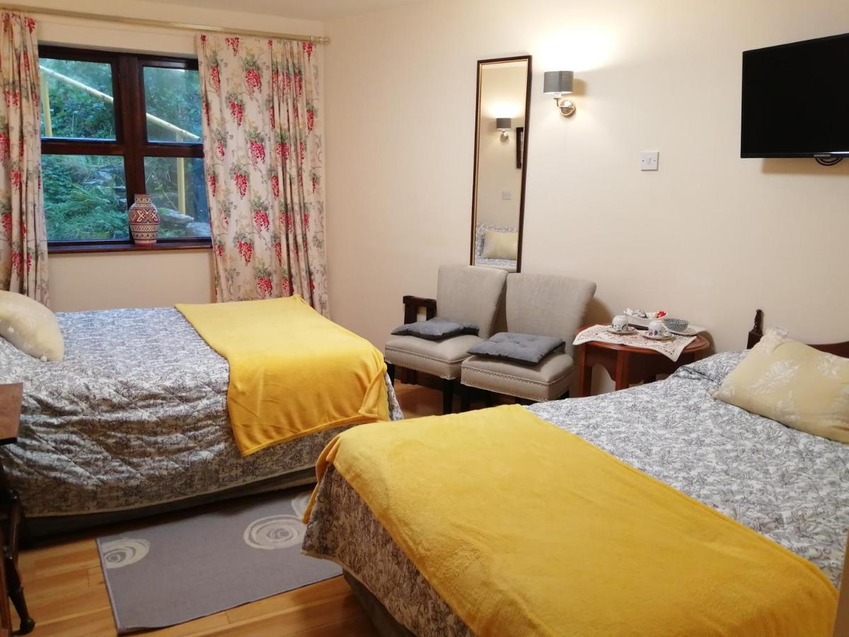 Ben View Guesthouse Clifden Extérieur photo